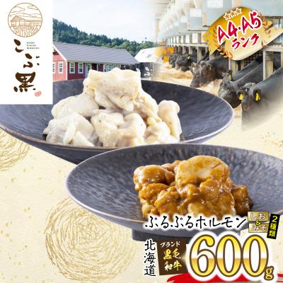 ふるさと納税 新ひだか町 北海道産 黒毛和牛 こぶ黒 しお&amp;みそホルモン 計600g(各300g)