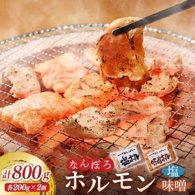ふるさと納税 南幌町 北海道南幌町 なんぽろホルモン 味噌&amp;塩セット 800g (各200g×2)
