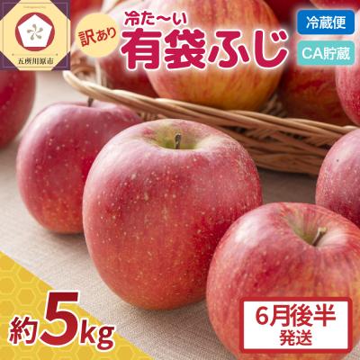 ふるさと納税 五所川原市 [6月後半発送]りんご ふじ 訳あり 約5kg[有袋栽培 CA貯蔵 クール便 果物 林檎 リンゴ]