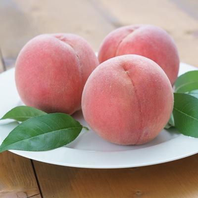 ふるさと納税 上山市 桃(川中島)3kg 特秀品 0055-2606の画像