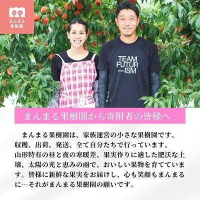 ふるさと納税 上山市 桃(川中島)3kg 特秀品 0055-2606の画像