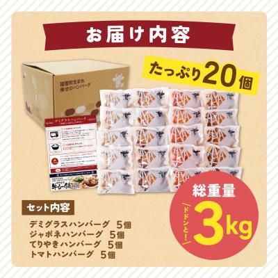 ふるさと納税 福智町 寄附額改定↓↓ Best4バーグ ハンバーグ 20個