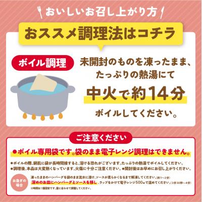ふるさと納税 福智町 Best4バーグ ハンバーグ 20個セット(合挽4種 各5個) |  | 03