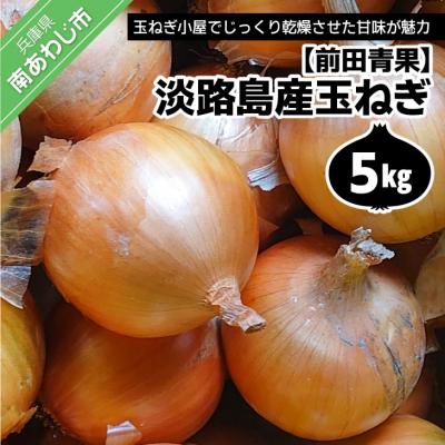 ふるさと納税 南あわじ市 淡路島産玉ねぎ5kg　◆配送7月中旬〜