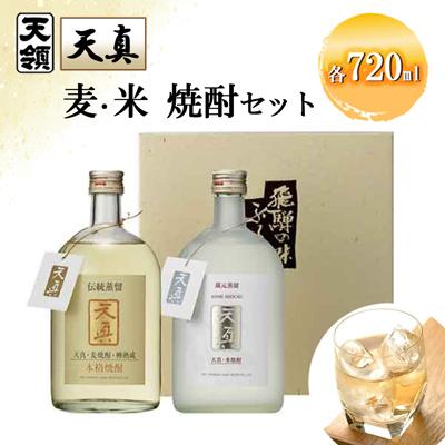 ふるさと納税 下呂市 [天領酒造]「天真」麦焼酎・米焼酎セット 各720ml×1本[2-22]