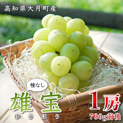 ふるさと納税 大月町 [2026年8・9月発送]大粒 ぶどう 種なし 雄宝 1房 (700g) 高級 ブドウ 大きい