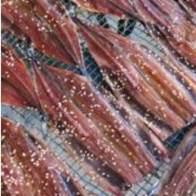 ふるさと納税 南あわじ市 さんまみりん干し16枚 自家製の品!