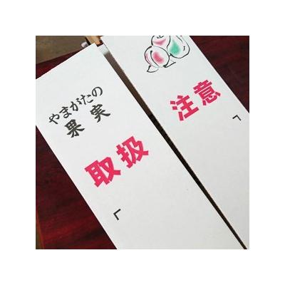 ふるさと納税 上山市 【2027年1月〜発送】ラ・フランスとサンふじりんご詰合せ　3kg　家庭用　0075-2612_1