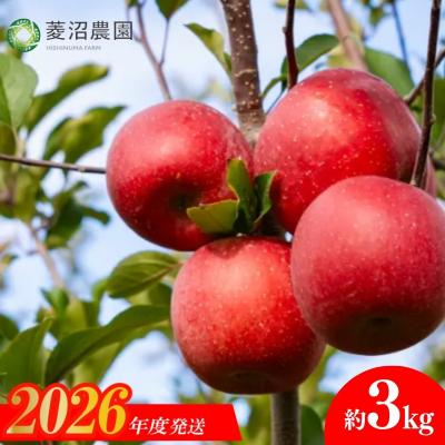 ふるさと納税 福島市 菱沼農園 りんご「サンふじ」約3kg[2026年度発送]No.2402