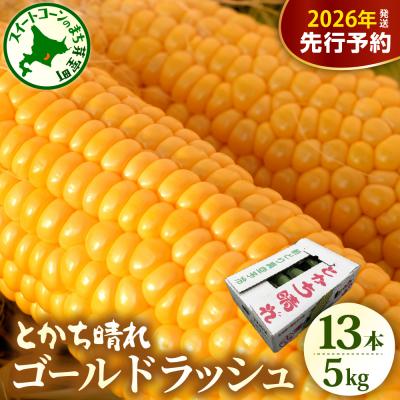 ふるさと納税 芽室町 [2026年先行受付]北海道芽室町 十勝めむろスイートコーン 13本入り me010-005c-26