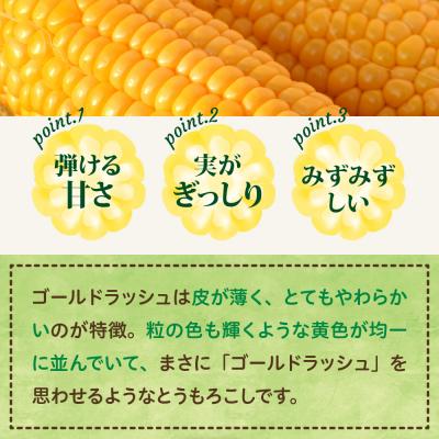 ふるさと納税 芽室町 【2027年先行受付】北海道芽室町 十勝めむろスイートコーン 13本入り meb010-005-27 |  | 02