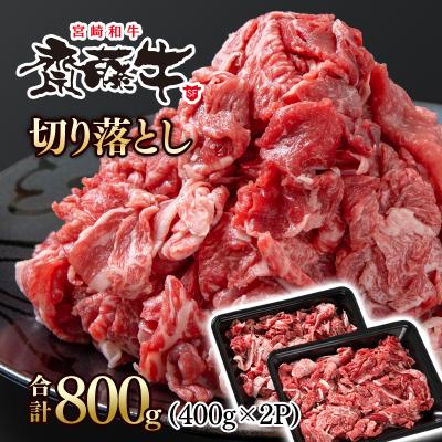 ふるさと納税 西都市 宮崎和牛 齋藤牛 切り落とし 800g(400g×2) [2250]
