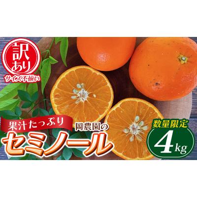 ふるさと納税 紀宝町 訳あり サイズ混合 岡農園のセミノール4kg [3月下旬〜4月下旬に順次発][mok009B]