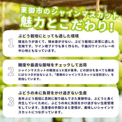 ふるさと納税 東御市 【先行受付2026年発送】東御市産シャインマスカット3kg(5〜6房)【秋お届け】の画像