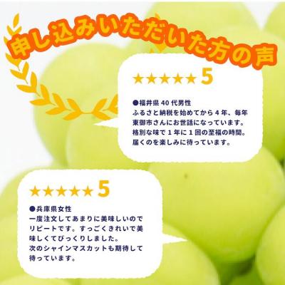ふるさと納税 東御市 【先行受付2026年発送】東御市産シャインマスカット3kg(5〜6房)【秋お届け】の画像