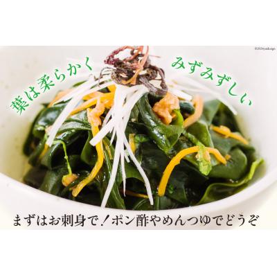 ふるさと納税 気仙沼市 三陸産 おさしみわかめ 300g [ムラカミ 宮城県 気仙沼市 20563586] |  | 02