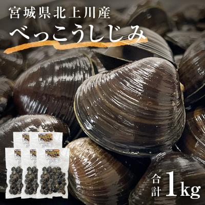 ふるさと納税 石巻市 北上川のべっこうしじみ 1kg(200g×5) 冷凍 石巻産 小分け 真空パック しじみ 味噌汁
