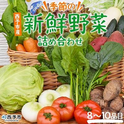 ふるさと納税 西予市 &lt;新鮮野菜の詰め合わせ&gt; 旬 西予 特産品 多品目 季節