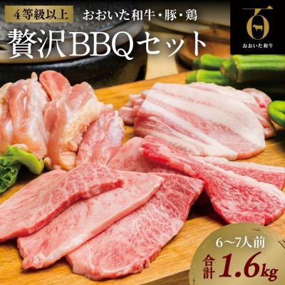 ふるさと納税 豊後高田市 [スピード発送] 焼肉 おおいた和牛 焼肉セット (合計1.6kg) バーベキュー 牛 豚 鶏