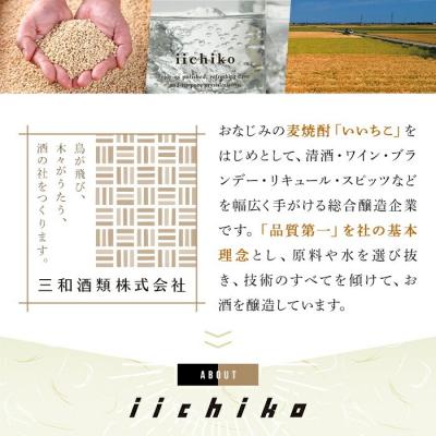 ふるさと納税 宇佐市 いいちこ 25度 パック(1.8L×3本)【106103952】【酒のひろた】 |  | 01