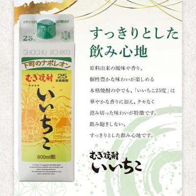 ふるさと納税 宇佐市 いいちこ 25度 パック(1.8L×3本)【106103952】【酒のひろた】 |  | 02