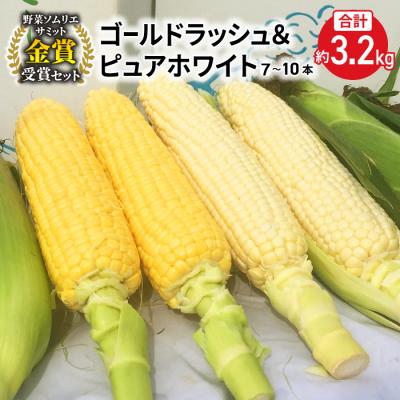 ふるさと納税 東御市 [先行受付2026年発送]東御市産とうもろこし(ピュアホワイト・ゴールドラッシュ)約3.2kg