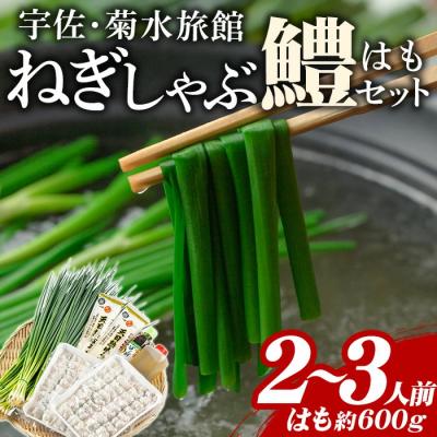 ふるさと納税 宇佐市 ねぎしゃぶ(鱧はも)[101500202][菊水旅館]