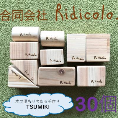 ふるさと納税 薩摩川内市 無塗装手作りTSUMIKI 1セット30ピース BS-302の画像