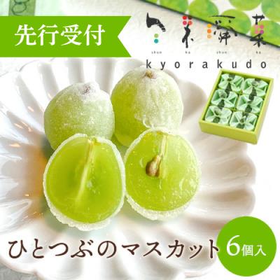 ふるさと納税 三原市 数々のメディアで紹介され大人気のひとつぶのマスカット(6個入)[018-001]
