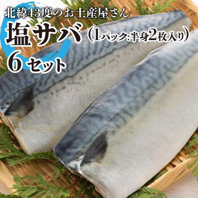 ふるさと納税 岩内町 北緯43度のお土産屋さん 塩サバ 6セット F21H-446