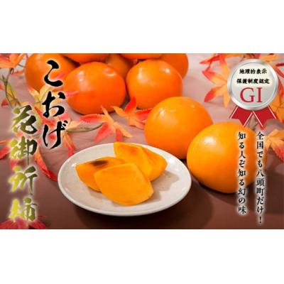 ふるさと納税 八頭町 こおげ花御所柿 2kg
