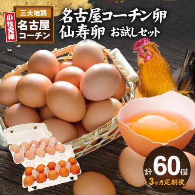 ふるさと納税 小牧市 [3ヶ月定期便]名古屋コーチン卵・仙寿卵お試しセット(各10個入り)×3回 [006K02-T]