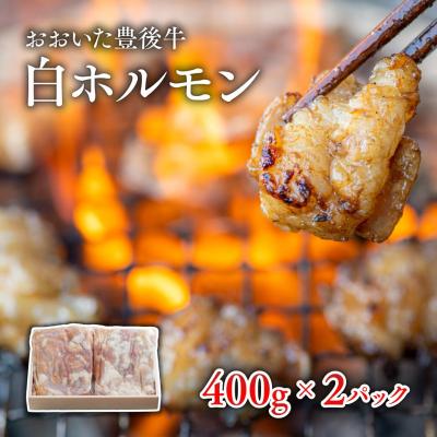 ふるさと納税 豊後高田市 [スピード発送] おおいた豊後牛 白ホルモン (400g×2P) ホルモン 焼肉