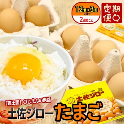 ふるさと納税 いの町 [定期便]土佐ジローたまご(12個入)×3回 約2週間毎に1回