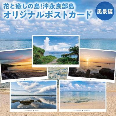 ふるさと納税 和泊町 花と癒しの島!沖永良部島オリジナルポストカード(風景編)