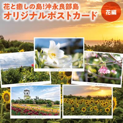 ふるさと納税 和泊町 花と癒しの島!沖永良部島オリジナルポストカード(花編)