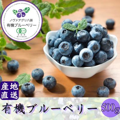 ふるさと納税 八頭町 [期間限定]完熟有機ブルーベリー500g