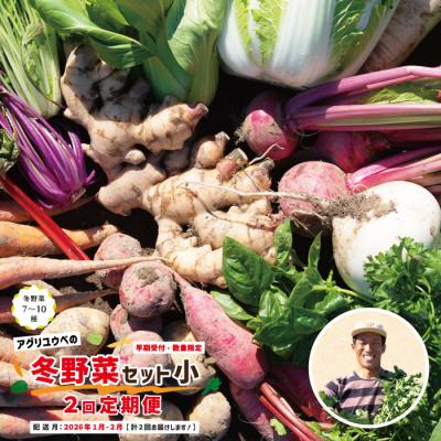 ふるさと納税 四万十市 [2回定期便・早期受付・数量限定]アグリユウベの冬野菜セット(小)[配送月:2026年1月・2月]