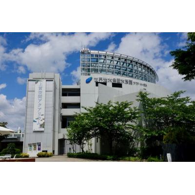 ふるさと納税 各務原市 世界淡水魚園水族館　アクア・トトぎふ　入館券(大人2枚・小学生1枚)【508】 |  | 01