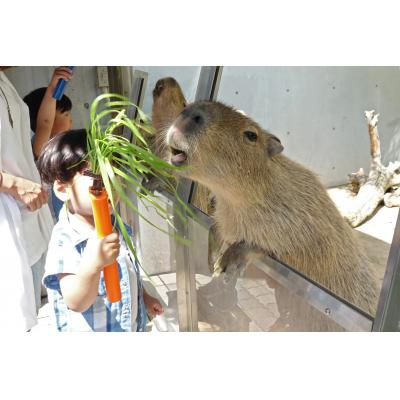 ふるさと納税 各務原市 世界淡水魚園水族館　アクア・トトぎふ　入館券(大人2枚・小学生1枚)【508】 |  | 02