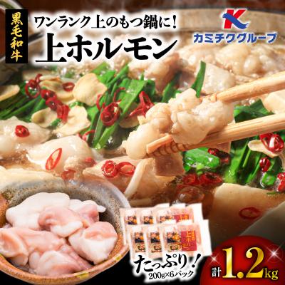 ふるさと納税 鹿児島市 ワンランク上のもつ鍋に!小腸1.2kg(ホルモン)