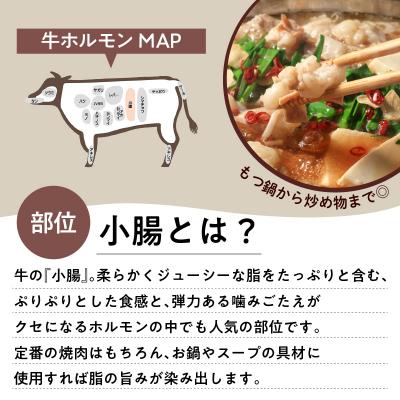 ふるさと納税 鹿児島市 ワンランク上のもつ鍋に!小腸1.2kg(ホルモン)　K002-004 |  | 02