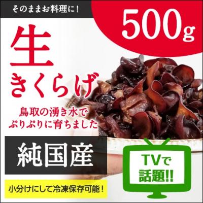 ふるさと納税 八頭町 純国産生きくらげ500g[有機JAS認証]