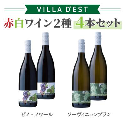 ふるさと納税 東御市 日本ワインコンクール受賞! 赤白ワイン 4本セット|ピノ・ノワール&amp;ソーヴィニヨン ブラン
