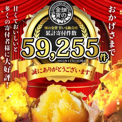 ふるさと納税 鹿児島市 畑の金貨 焼き芋紅はるか 3kg K181-001_01の画像
