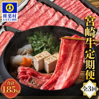 ふるさと納税 椎葉村 [定期便 3回]受賞歴多数!! 宮崎牛を3ヶ月で合計1.85キロ 宮崎牛づくし