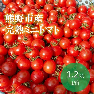 ふるさと納税 熊野市 [先行受付]熊野薬草園のミニトマト(1.2kg) トマト ミニトマト 熊野