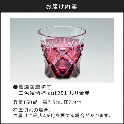 ふるさと納税 鹿児島市 島津薩摩切子 二色冷酒杯 cut251 ルリ金赤 K010