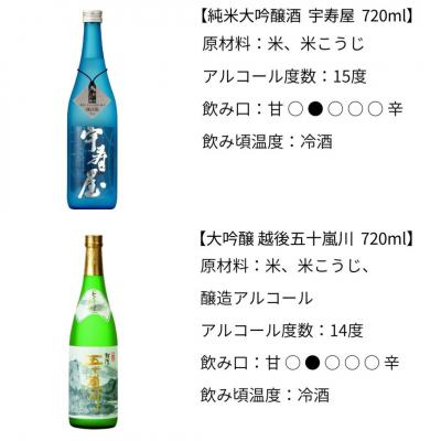 ふるさと納税 三条市 純米大吟醸 大吟醸 飲み比べ 720ml×2本 [福顔酒造] 【017S032】