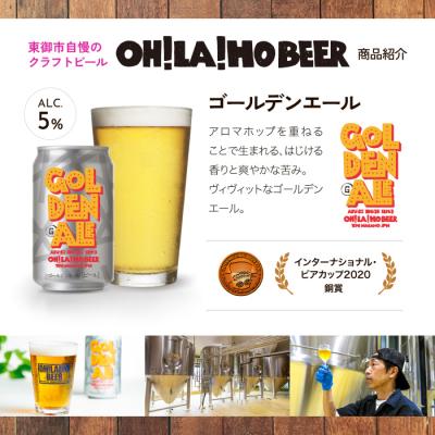 ふるさと納税 東御市 【4回定期便】オラホビール ゴールデンエール\u0026アンバーエール10本の画像